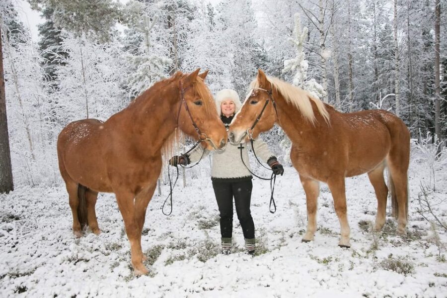 Rovaniemi: Late Night Ride with Finnhorses - Key points before you go