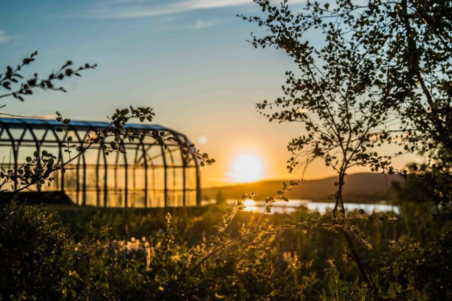 Rovaniemi: Midnight Sun Photography Tour - Value check: what $141 gets you in 3.5 hours