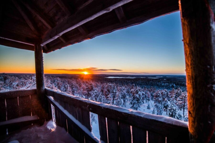 Rovaniemi: Nordic Forest Wilderness Adventure - Why This Lapland Hike Feels Different Than a Typical Tour