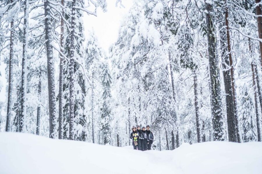 Rovaniemi: Nordic Forest Wilderness Adventure - The Photography Angle: How the Guide Helps You Get Better Shots