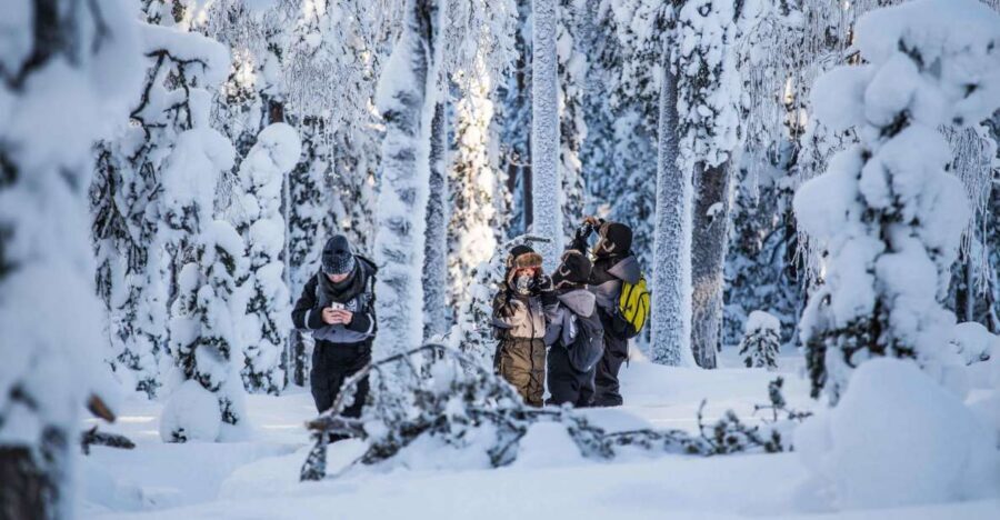 Rovaniemi: Nordic Forest Wilderness Adventure - Gear and Comfort: What’s Covered (and What You Still Control)