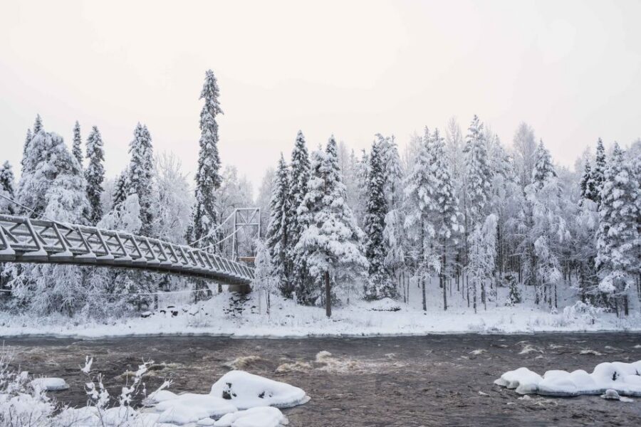 Rovaniemi: Nordic Forest Wilderness Adventure - Price and Value: Is $159 Worth It?