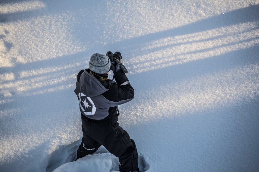 Rovaniemi: Nordic Forest Wilderness Adventure - Pickup From Rovaniemi: Quick, Simple, No Fuss