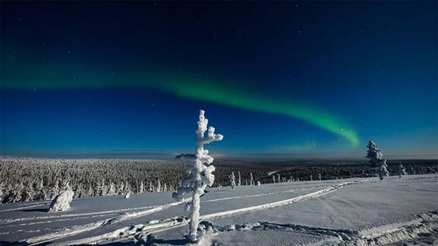 Rovaniemi: Northern Lights and Husky Sleigh Ride - Timing, Weather, and Why Your Evening Can Shift