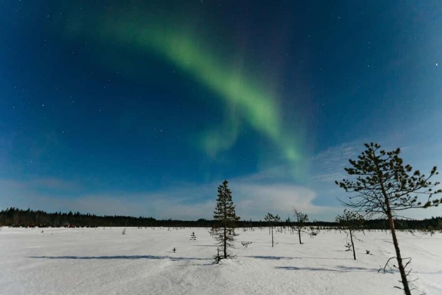 Rovaniemi: Northern Lights Family-Friendly Snowmobile Safari - Hunting the Northern Lights from Rovaniemi, Lapland