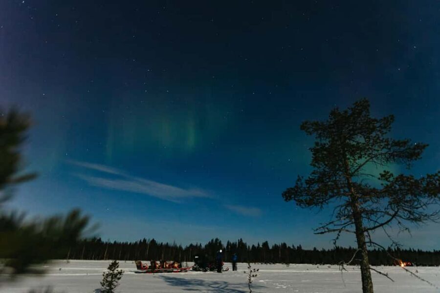 Rovaniemi: Northern Lights Family-Friendly Snowmobile Safari - Safety and driver rules you should take seriously