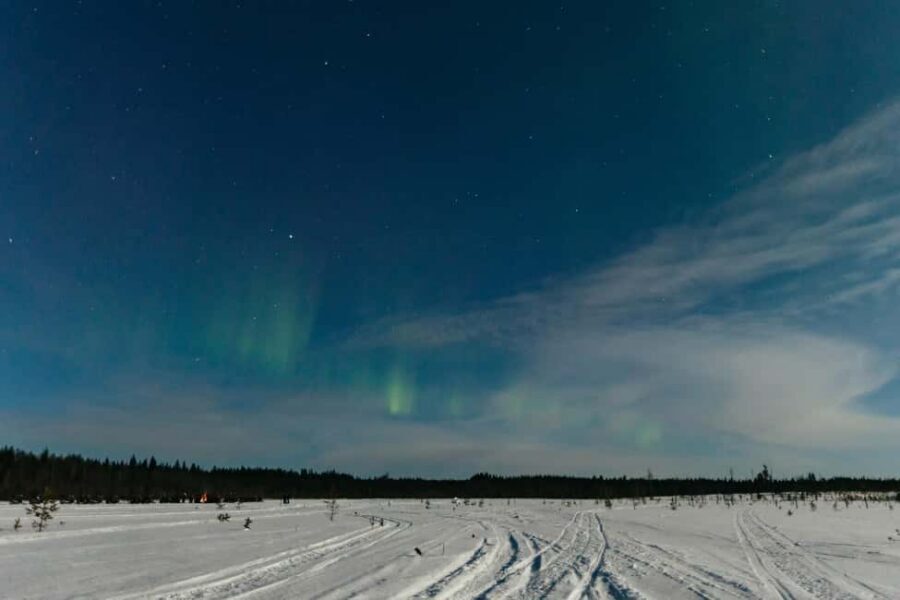 Rovaniemi: Northern Lights Family-Friendly Snowmobile Safari - Who should book this snowmobile Northern Lights safari?