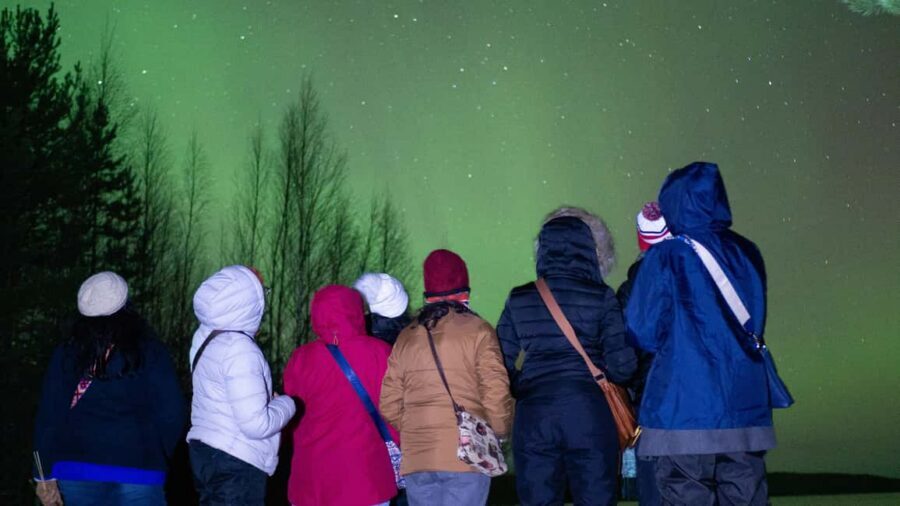 Rovaniemi: Northern Lights Guided Tour with Pro Camera - Campfire Time in the Wilderness: Warmth and Stories, Not Just Waiting
