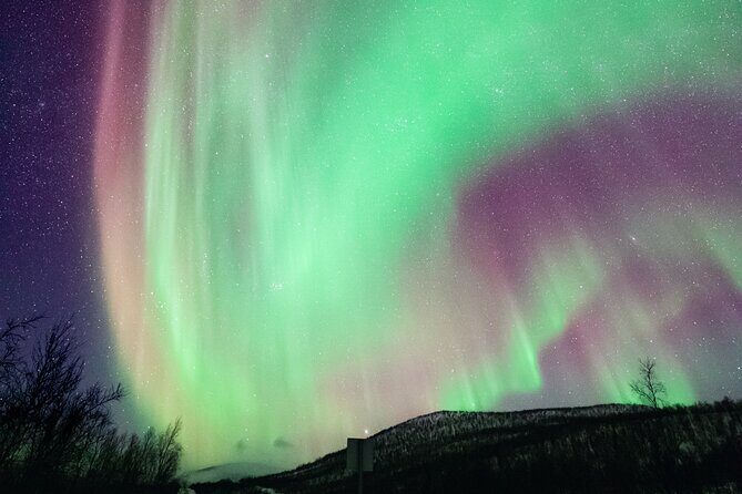 Rovaniemi: Northern Lights Pro Guaranteed - Unlimited (PRIVATE) - How the Aurora Pro Guide Finds the Lights