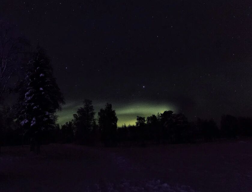 Rovaniemi: Northern Lights Snowmobile Safari with Campfire - Why a 4-hour snowmobile-and-aurora mix makes sense in Rovaniemi
