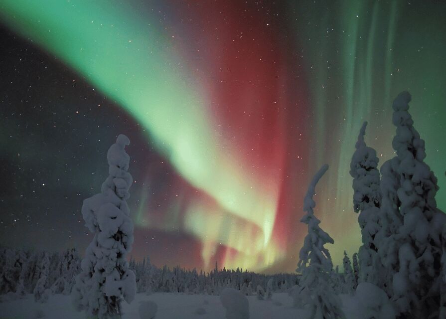 Rovaniemi: Northern Lights Snowmobile Safari with Campfire - Meeting point, transfers, and how you’ll start the night