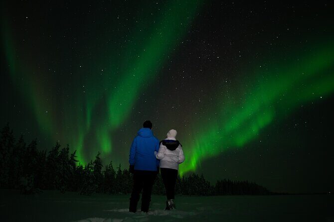 Rovaniemi: Northern Lights Tour - Key highlights that matter on the ground