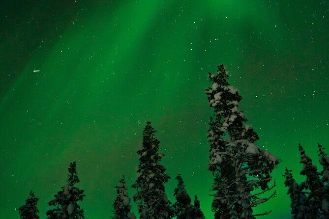 Rovaniemi: Northern Lights Tour - Northern Lights From Rovaniemi: Heated bus comfort for real winter