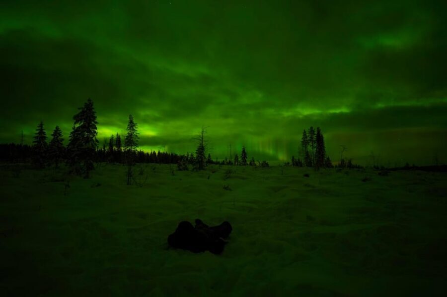 Rovaniemi: Northern Lights Tour at the Campfire - Searching the sky with a guide: stargazing that feels purposeful