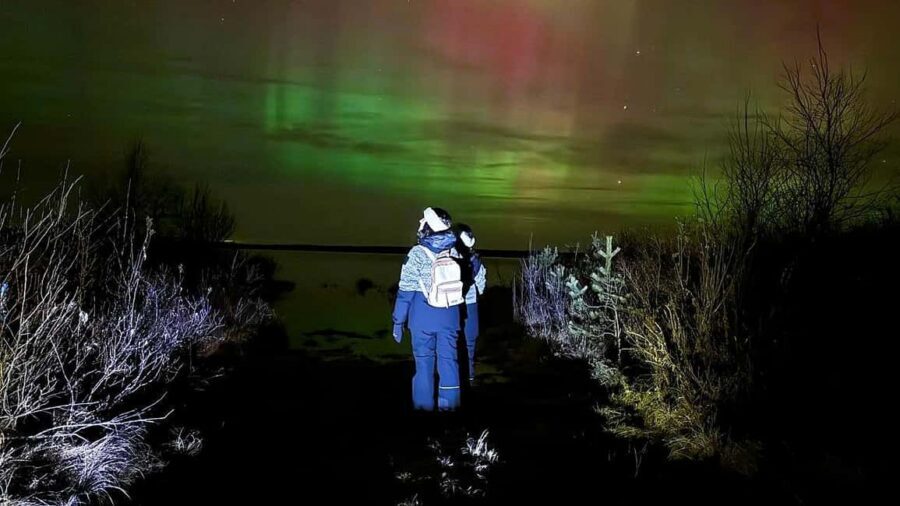 Rovaniemi: Northern Lights Tour with BBQ - Key Points You’ll Care About