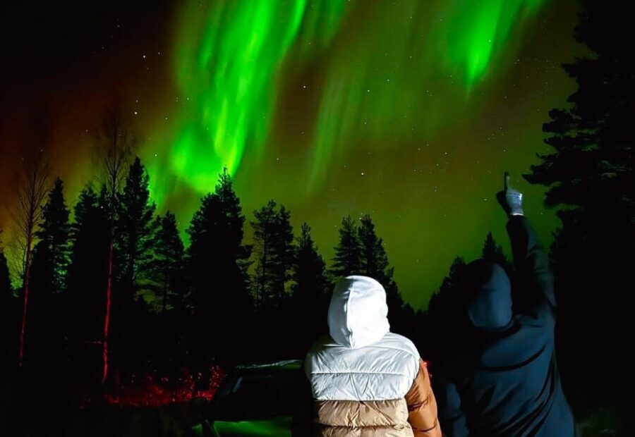 Rovaniemi: Northern Lights Tour with BBQ - Three Scenic Locations: Why Multiple Stops Beat One Big Bet