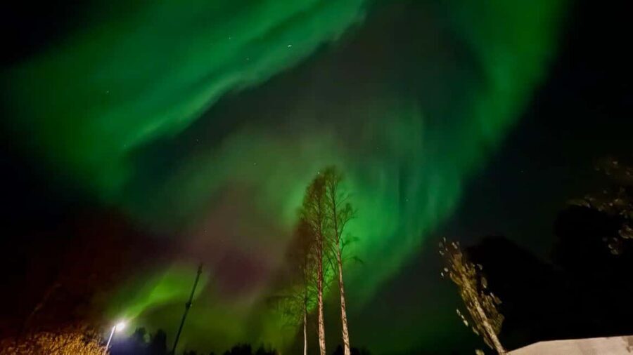 Rovaniemi: Northern Lights Tour with BBQ - Price and Value: Is $85 Worth It?