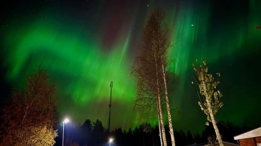 Rovaniemi: Northern Lights Tour with BBQ - When the Aurora Doesn’t Show: How to Keep This From Feeling Like a Bust