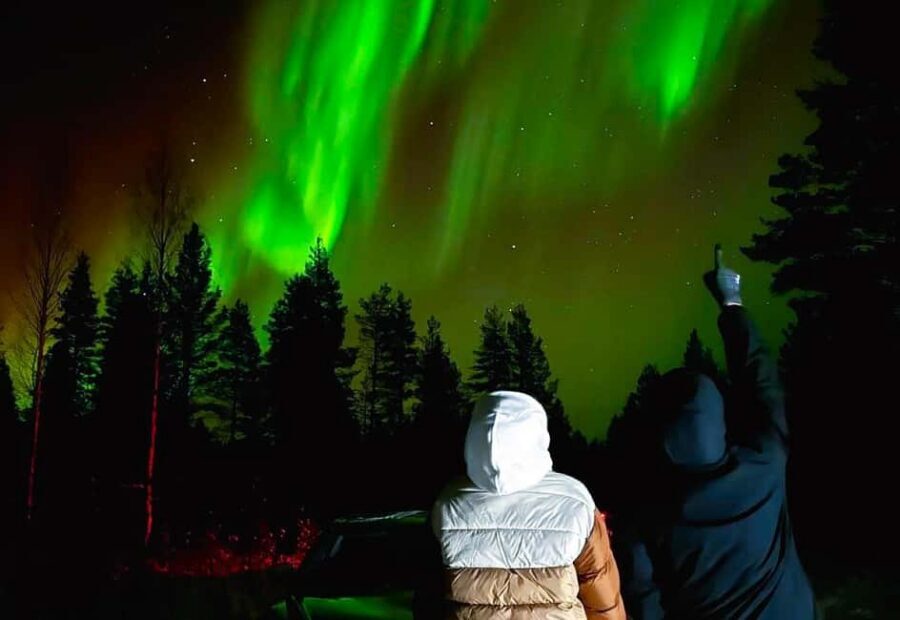 Rovaniemi: Northern Lights Tour with BBQ - The Frozen Forest + Dark Skies: What the Viewing Parts Feel Like