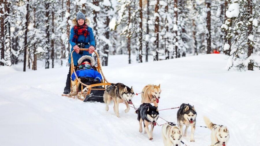 Rovaniemi: One Hour Husky Experience - Who This Tour Is Best For (and Who Might Want Something Longer)