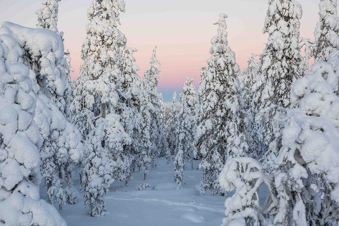Rovaniemi photography tour - Who this tour fits best (and who should plan differently)