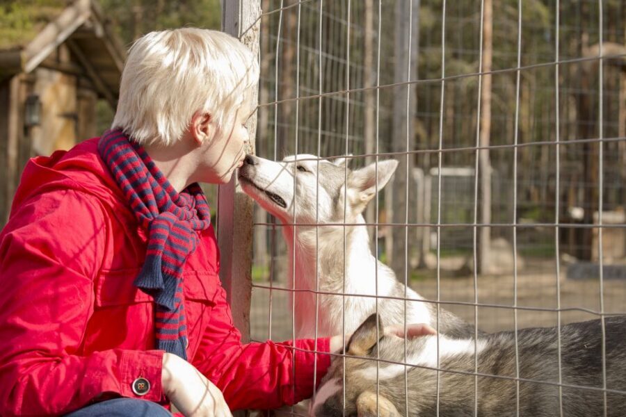 Rovaniemi: Quad Bike Safari, Reindeer & Husky Farm Visit - The ATV Part: Safety Training That Lets You Actually Ride