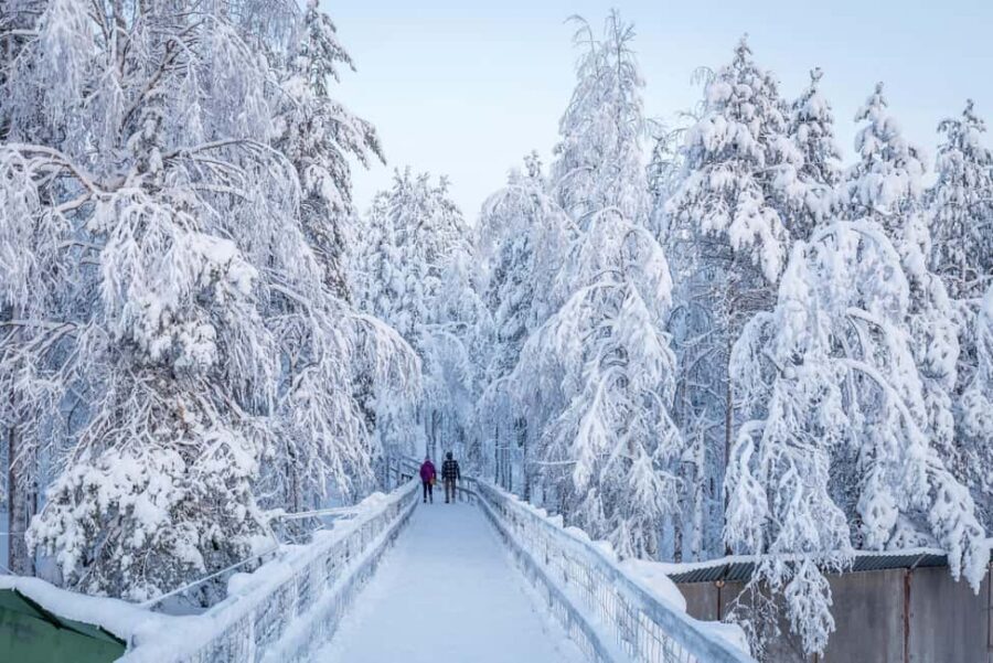 Rovaniemi: Ranua Zoo Wildlife Park Tour with hotel pickup - Price and value: is $135 a good deal?