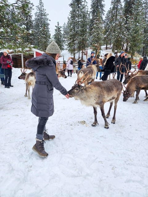 Rovaniemi: Reindeer Farm Visit and Sleigh Ride with transfer - Feeding Reindeer: The Part That Feels Closest to the Animals