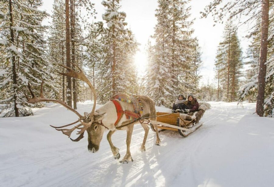 Rovaniemi: Reindeer Farm Visit and Sleigh Ride with transfer - The Wooden Sleigh Ride: Small Distance, Big Atmosphere