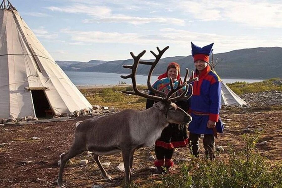 Rovaniemi: Reindeer Farm Visit in the Summer - Who This Reindeer Farm Visit Suits Best