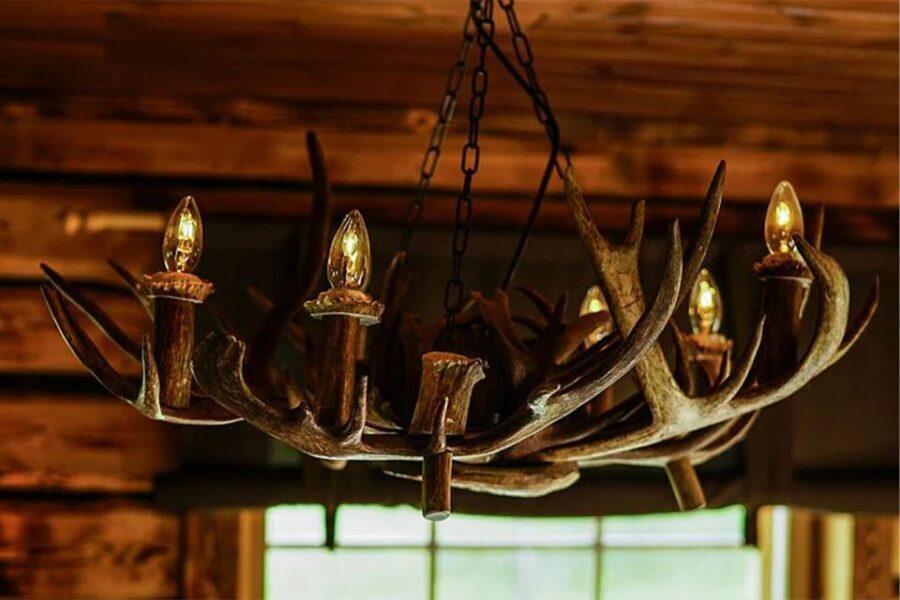 Rovaniemi: Reindeer Farm Visit in the Summer - Duration, Timing, and Group Size: Know the Rules
