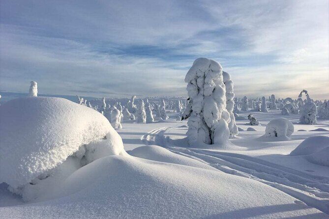 Rovaniemi: Riisitunturi Full-Day Wilderness Adventure & BBQ - Key highlights you’ll actually feel