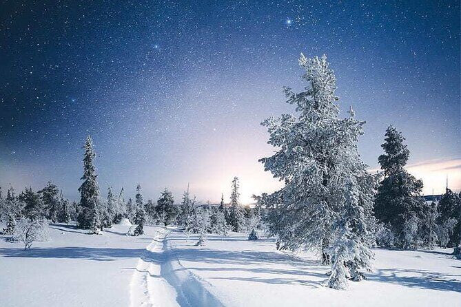 Rovaniemi: Riisitunturi Full-Day Wilderness Adventure & BBQ - Riisitunturi National Park: why this winter day feels special