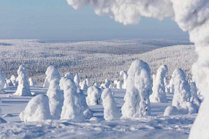 Rovaniemi: Riisitunturi Full-Day Wilderness Adventure & BBQ - Arctic vistas and winter trails: getting value out of the 8 hours