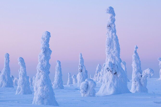 Rovaniemi: Riisitunturi Full-Day Wilderness Adventure & BBQ - The 8:00 am plan: pickup, pacing, and small-group comfort