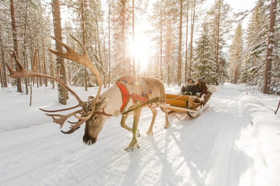 Rovaniemi: Santa Claus Village + Husky & Reindeer Sled Ride - From your hotel door to Arctic Circle vibes in minutes