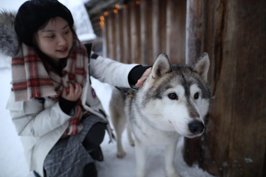 Rovaniemi: Santa Claus Village Tour Huskies & Reindeer ride - Small group of 8: faster answers, calmer moments