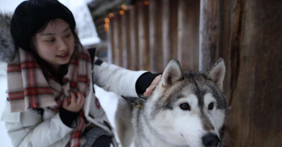 Rovaniemi: Santa Claus Village Tour Huskies & Reindeer Visit - Key points to know before you go