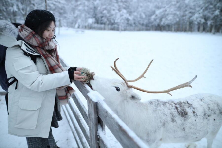 Rovaniemi: Santa Claus Village Tour Huskies & Reindeer Visit - Price and value: what $235 buys you (and what it doesn’t)