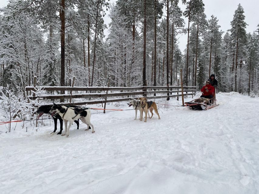 Rovaniemi: Santa Claus Village Tour Huskies & Reindeer Visit - Who should book this Santa + husky + reindeer combo
