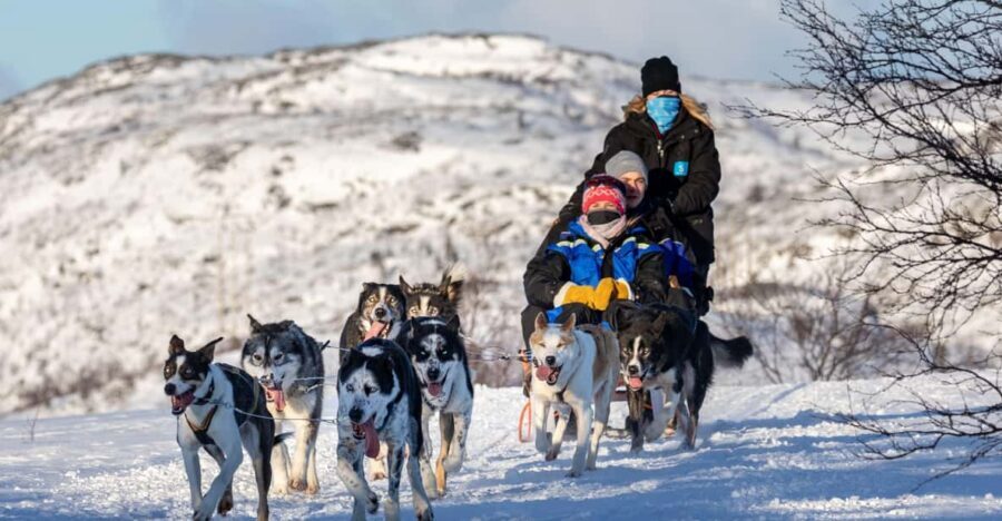 Rovaniemi: Santa's Village, Husky, & Reindeer Sled Ride - Reindeer Sled Ride Through Lapland: The Iconic Moment
