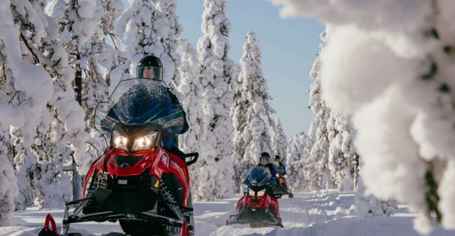 Rovaniemi: Snowmobile Adventure Tour for Adults Only - Key things that make this tour worth your time