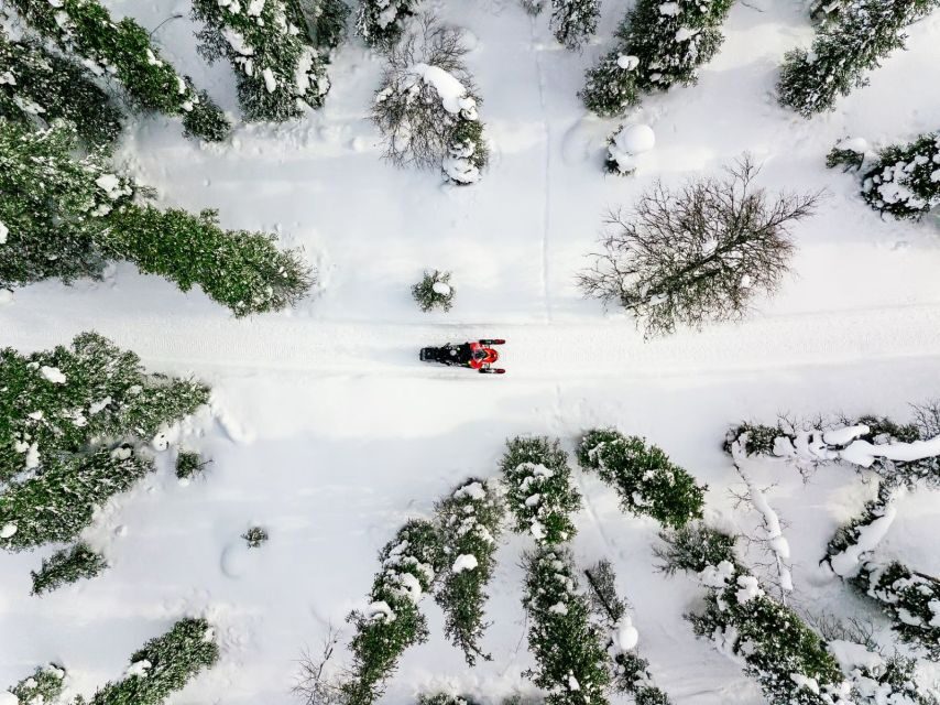 Rovaniemi: Snowmobile Safari Adventure - Key Points at a Glance