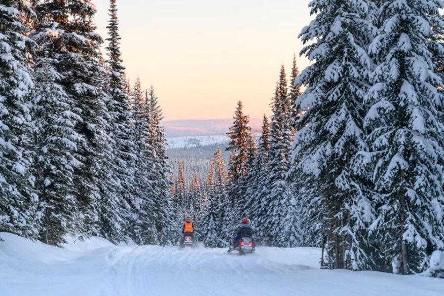 Rovaniemi: Snowmobile Safari Adventure - Blueberry Juice Reset: The Warm Finish You’ll Appreciate
