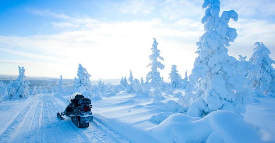 Rovaniemi: Snowmobile Safari in the Arctic Circle - Key highlights you’ll care about