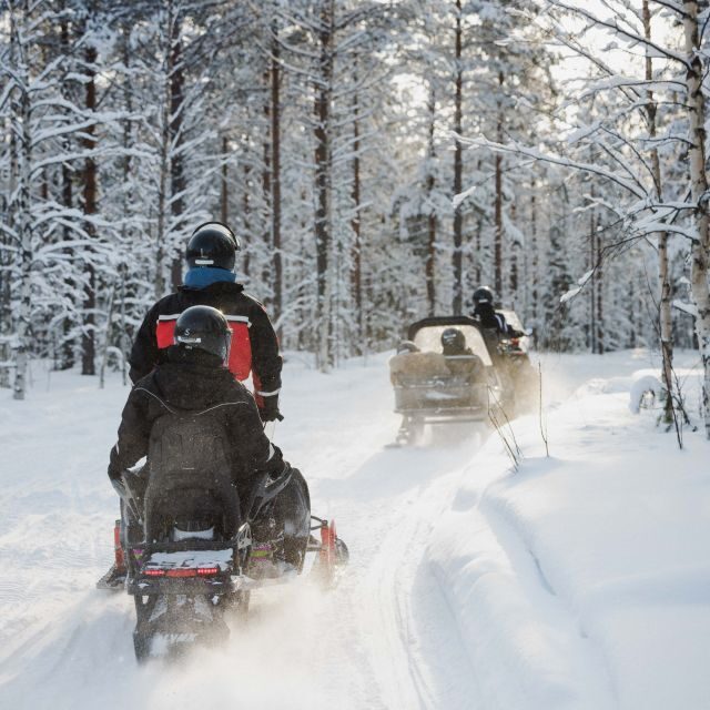 Rovaniemi: Snowmobile Safari in the Arctic Circle - Rovaniemi’s Arctic Circle safari: what the experience really feels like