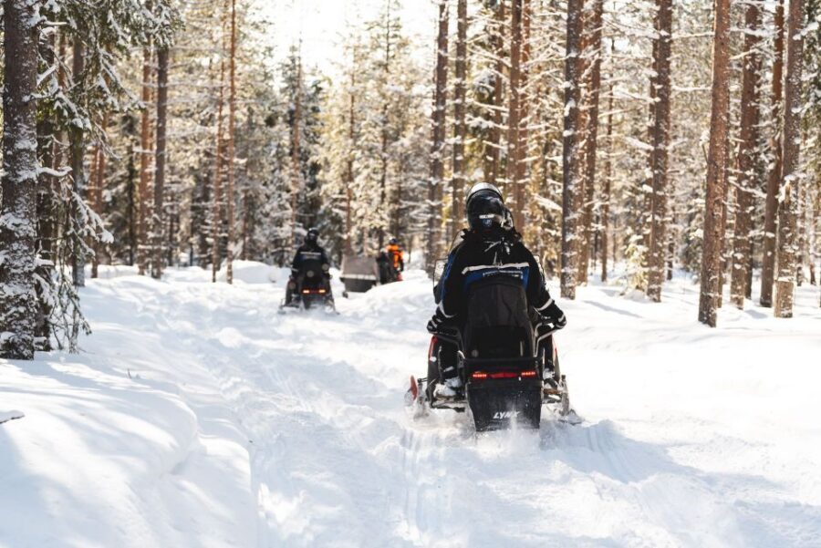Rovaniemi: Snowmobile Safari into the Arctic Circle Forest - Snowmobile setup and who drives: sharing, supplements, and kids in the sleigh
