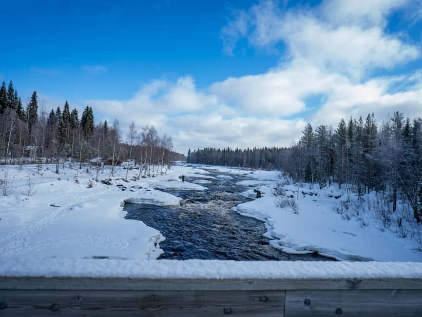 Rovaniemi: Snowshoe Adventure at Vikaköngäs & Barbeque - Price and Value: What $124 Gets You in the Cold