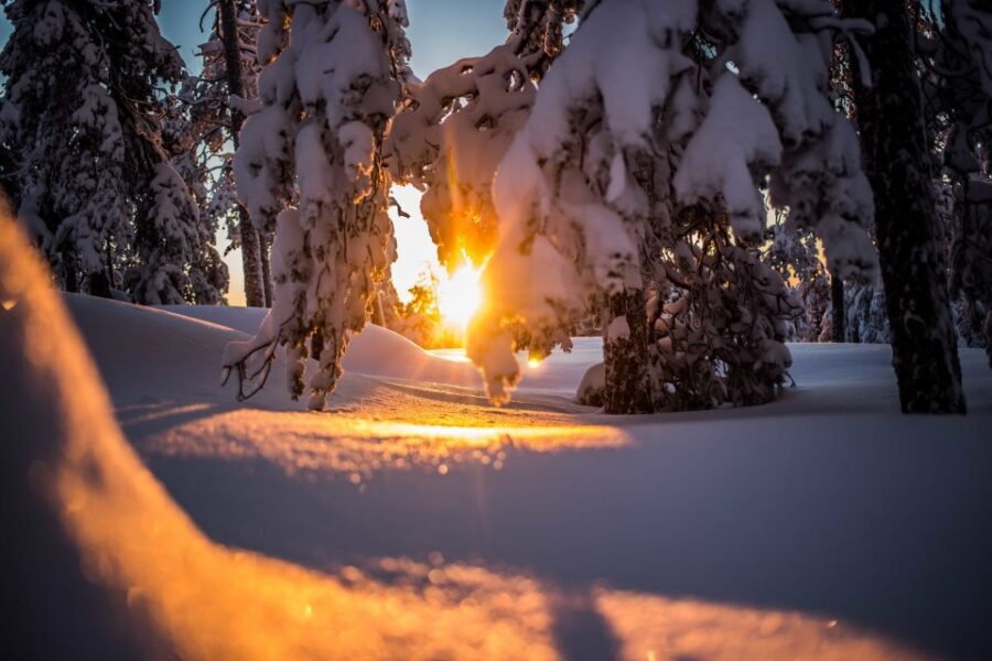 Rovaniemi: Snowshoe Wilderness Adventure - How Snowshoeing + Photography Works in Arctic Lapland