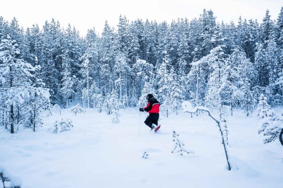 Rovaniemi: Snowshoe Wilderness Adventure - From Your Door in Rovaniemi to a Hidden Spot in the Woods